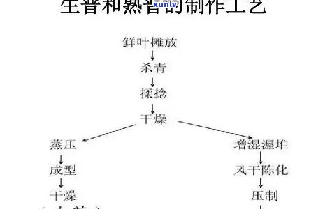 瓷茶叶罐的多重用途与精美图片展示