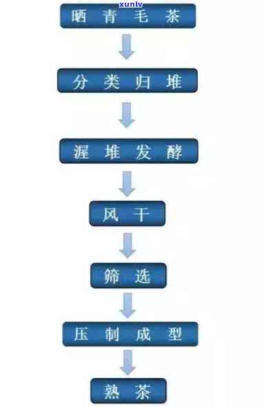 六大茶类工艺流程图解，「六大茶类工艺流程图解」：让你轻松掌握茶叶 *** 全过程