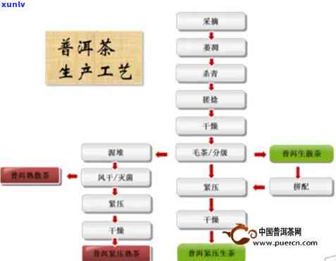 六大茶类工艺流程图-六大茶类工艺流程图片