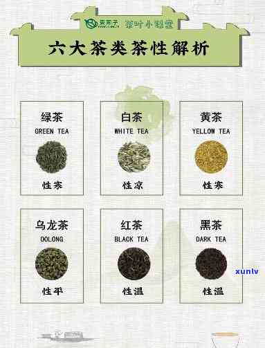 探究六大茶类的茶性与养生功效及其独特特点