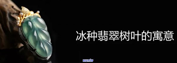 冰种叶子的寓意是什么？探究其象征意义与美好寓意