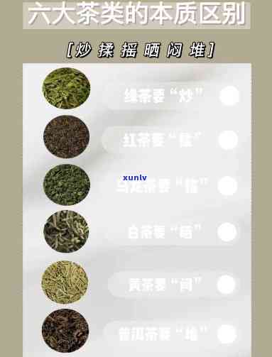 简述六大茶类的茶性特征及区别