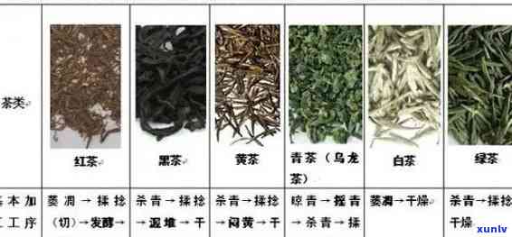 六大茶类的茶性是什么，探究茶叶世界：六大茶类的特性和功效