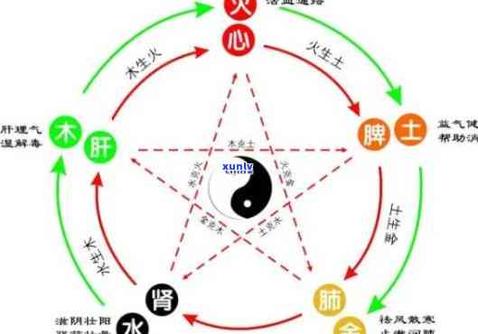 六大茶类的五行属性及特点，探秘六大茶类的五行属性及其独特特点