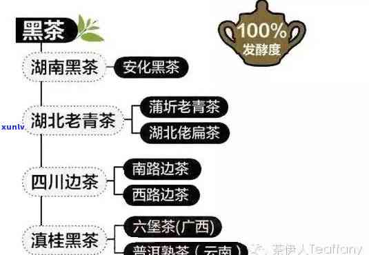 六大茶类的先后顺序是什么，探究六大茶类的先后顺序