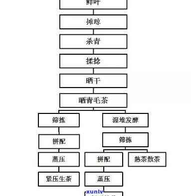 详解六大茶类及加工工艺流程图