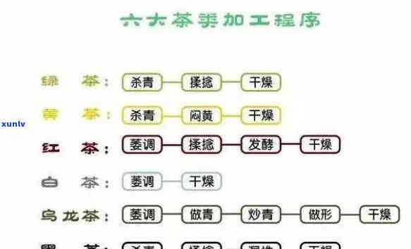 探究六大茶类的生产工艺区别及其联系