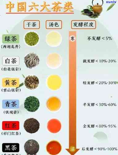 六大茶类的分类与原则，六大茶类：分类与品鉴原则全解析