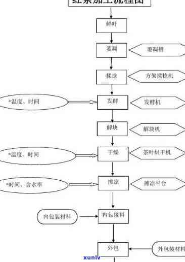 红茶的主要 *** 工序为什么？详解其独特加工过程及其必要性