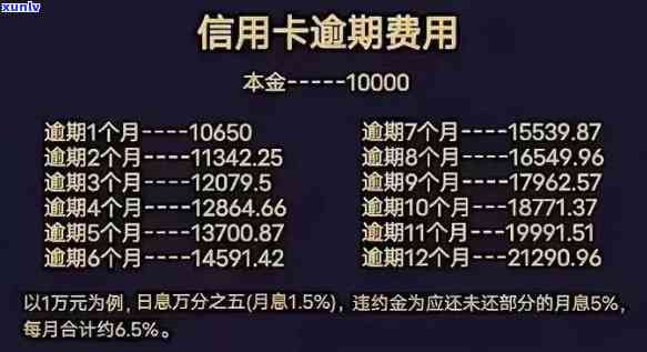 建设银行逾期分期政策全解析：最新版2023年规定