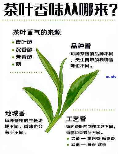 茶的香味由什么决定的，揭秘茶香：影响茶叶香味的关键因素是什么？