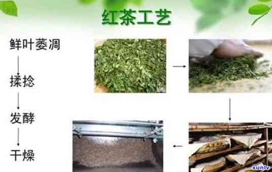 红茶的基本加工工艺流程，详解红茶的基本加工工艺流程