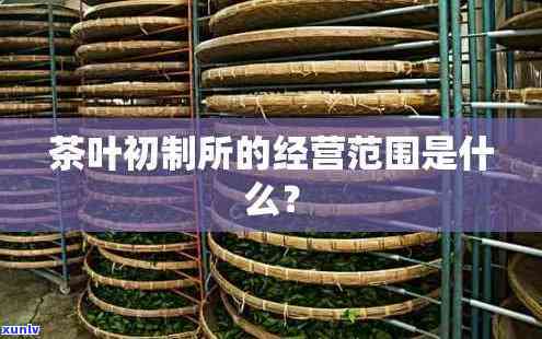 茶的主要经营围：包含但不限于茶叶生产、销售、加工、科研等方面