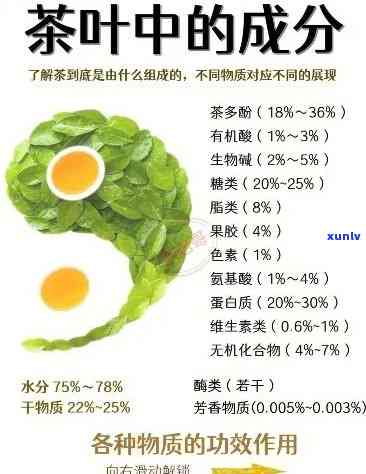 茶的重要成分，揭示茶的奥秘：重要成分解析