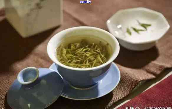 深入探索茶叶世界：关于茶的小视频全攻略