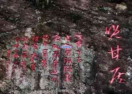 冰岛古树茶，探索神秘的冰岛古树茶：一种独特的茶叶体验