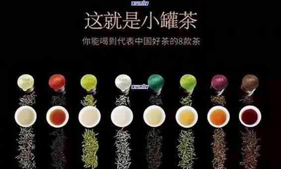 小罐茶8种茶品种全解析，让你了解每一种的独特风味