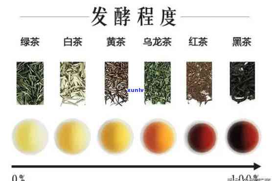 青茶的代表茶品有哪些？品种、名称全解析！