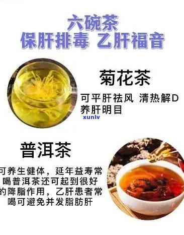 护肝茶有哪些材料，探究护肝茶的组成：了解其主要成分与功效