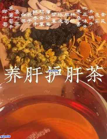 护肝茶有哪些材料，探究护肝茶的组成：了解其主要成分与功效