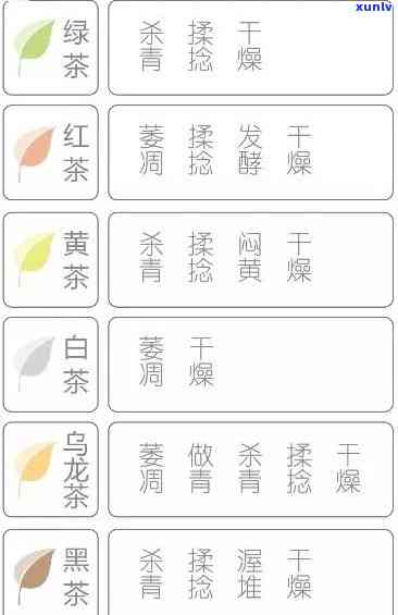 全面解析：茶的基本分类及其相关方面