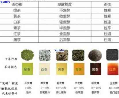 属于不发酵茶的是，探讨不发酵茶的种类及其特点