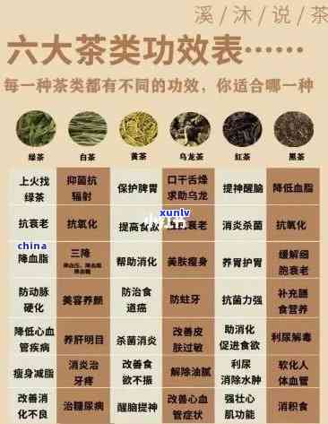 全面解析：茶的药理功效及其图片、视频展示