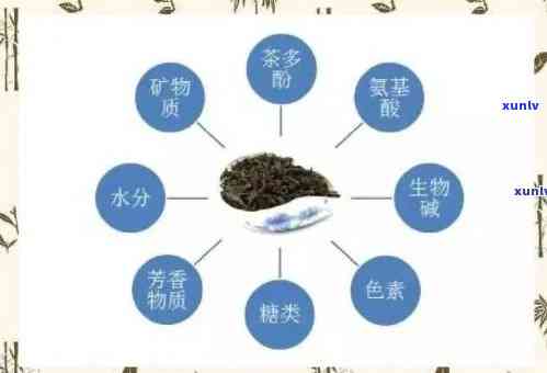 全面解析：茶的药理功效及其图片、视频展示