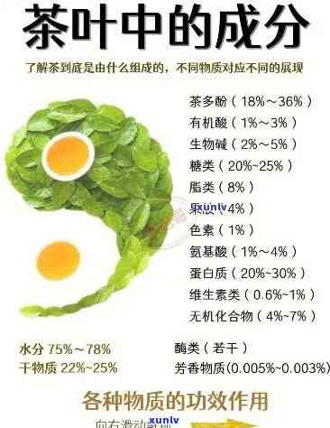 茶的营养成分有哪些种类，探究茶叶的营养成分：种类与功效