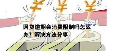 新宝堂柑普茶怎么样好喝吗，【新宝堂柑普茶】功效与作用评测，口感如何？