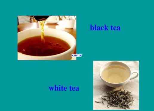 茶的 ***  *** 有哪些英语，How to Make Tea: A Guide to Different Brewing Techniques