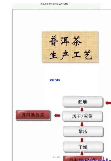 茶的 ***  *** 全解析：视频教程与讲解