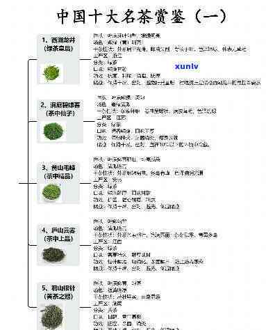 茶的命名方式及其特点探究