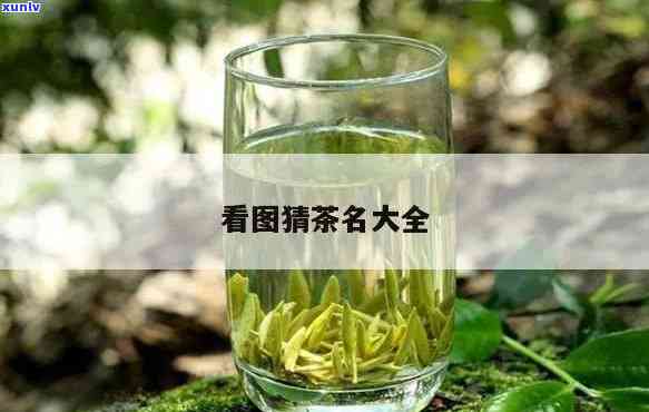 关于茶的东西有哪些名字，探索茶的世界：了解与茶相关的一切名称