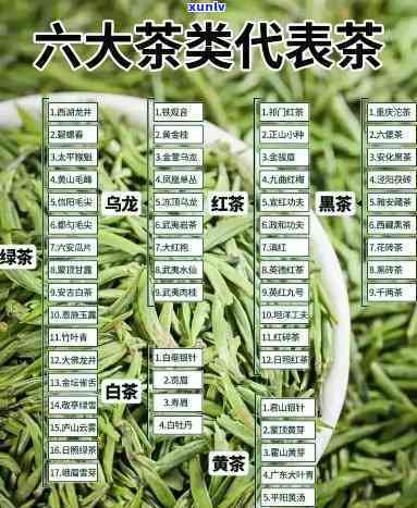 与茶有关的：探索茶叶世界的知名