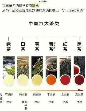 关于茶的产品有哪些内容，探索茶叶的世界：了解关于茶的各种产品及其内容