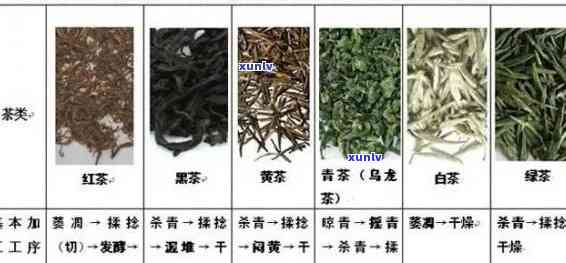 属于性茶的有哪些茶叶，探秘性茶：哪些茶叶属于这一类别？