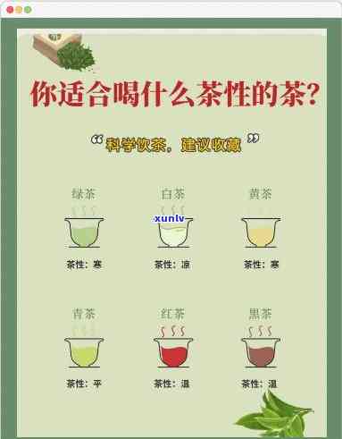 性的茶饮有哪些，了解性茶饮：哪些茶叶适合你？