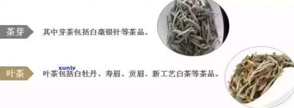 六大茶类品种全览：图片 名称 详细介绍