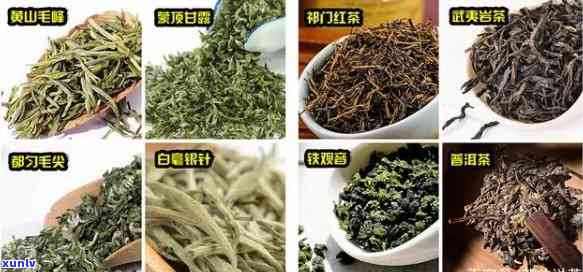 探究六大茶类的名优品种及其图片大全