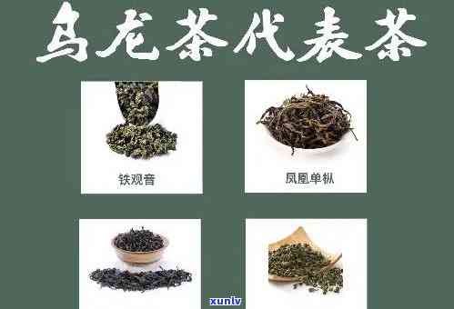 探究六大茶类及代表品种：从名称到图片全解析