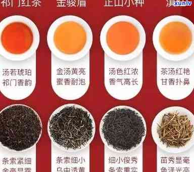 红茶品种图片名称大全，探索世界茶叶的丰富多样性：红茶品种图片名称大全