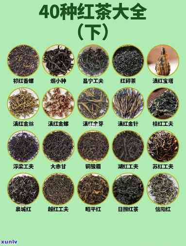 全图解:红茶品种有哪些图片和名称?