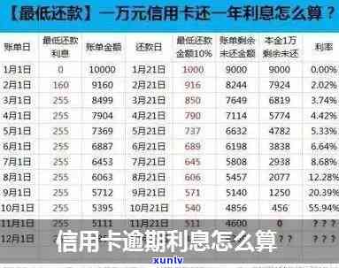 建行信用卡逾期利息计算  及金额查询