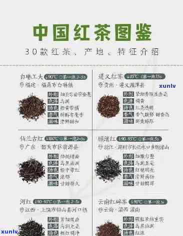 探究红茶品种的前十排名及其图片展示