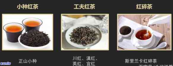 比较著名的红茶：与种类全解析