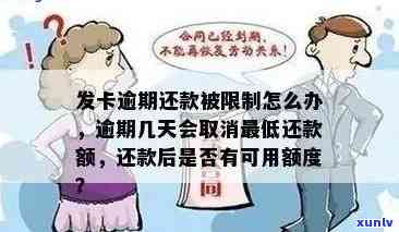 发逾期几天一次性还款有减免吗，发逾期多久可以申请一次性还款？有减免政策吗？