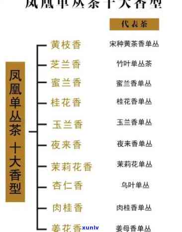 探索凤凰茶：十大香型及其常见品种全解析