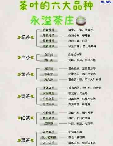 安溪茶品种数字代号大全，全面解析：安溪茶品种的数字代号大全