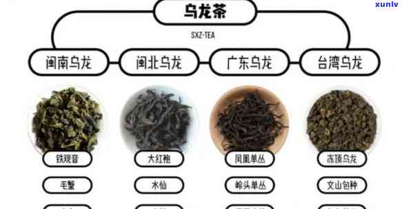 属于青茶的茶品种是哪些，揭秘青茶家族：那些属于青茶的茶品种